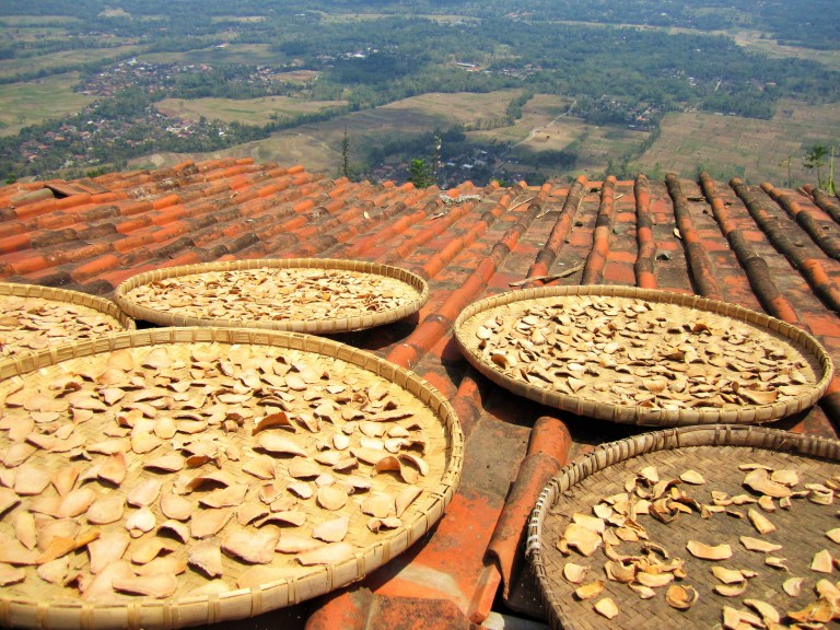 Herbal medicines drying out