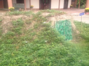 Remaining Viet Cong bunkers in South Vietnam