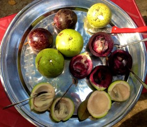 Milk fruit, a native fruit to South Vietnam