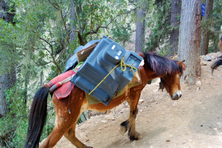 A horse with a TV tied to it, carrying it to the villagers in Yubeng, China